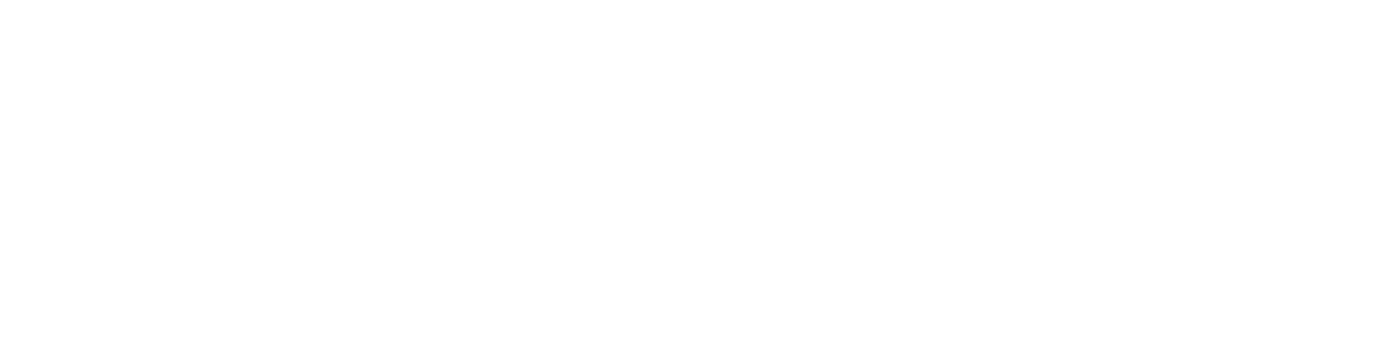 TrustSSD Logo